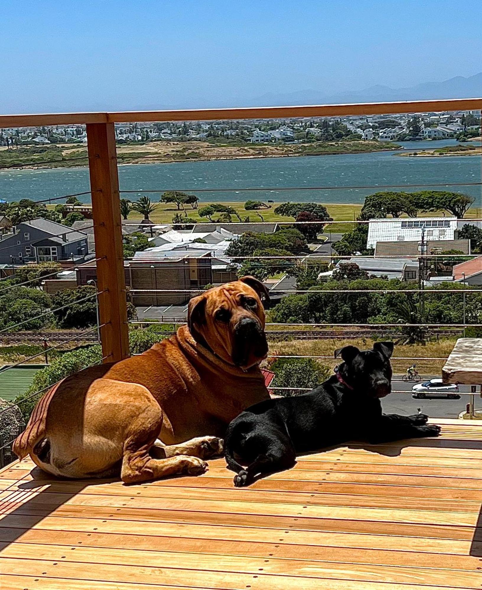 Jefa Heights Appartement Le Cap